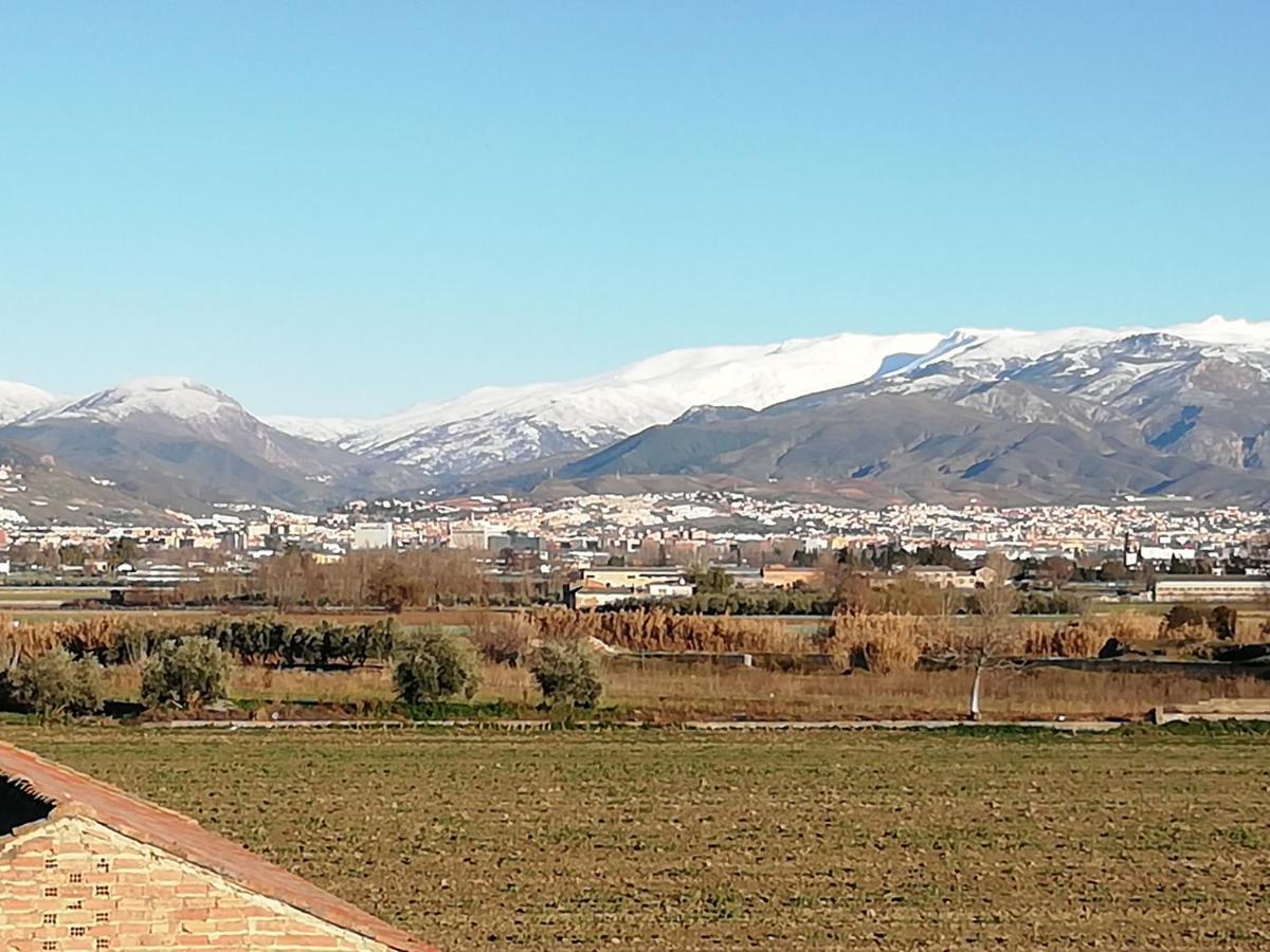 Apartamentos La Vega De Granada Ambroz 外观 照片